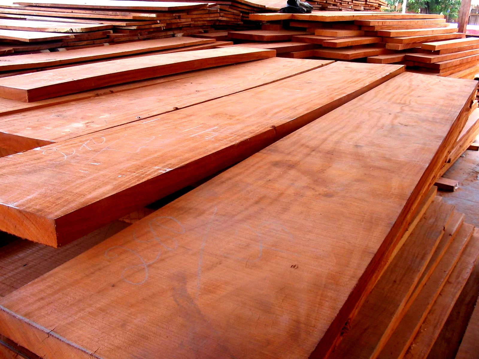 Mahogany hardwood timber